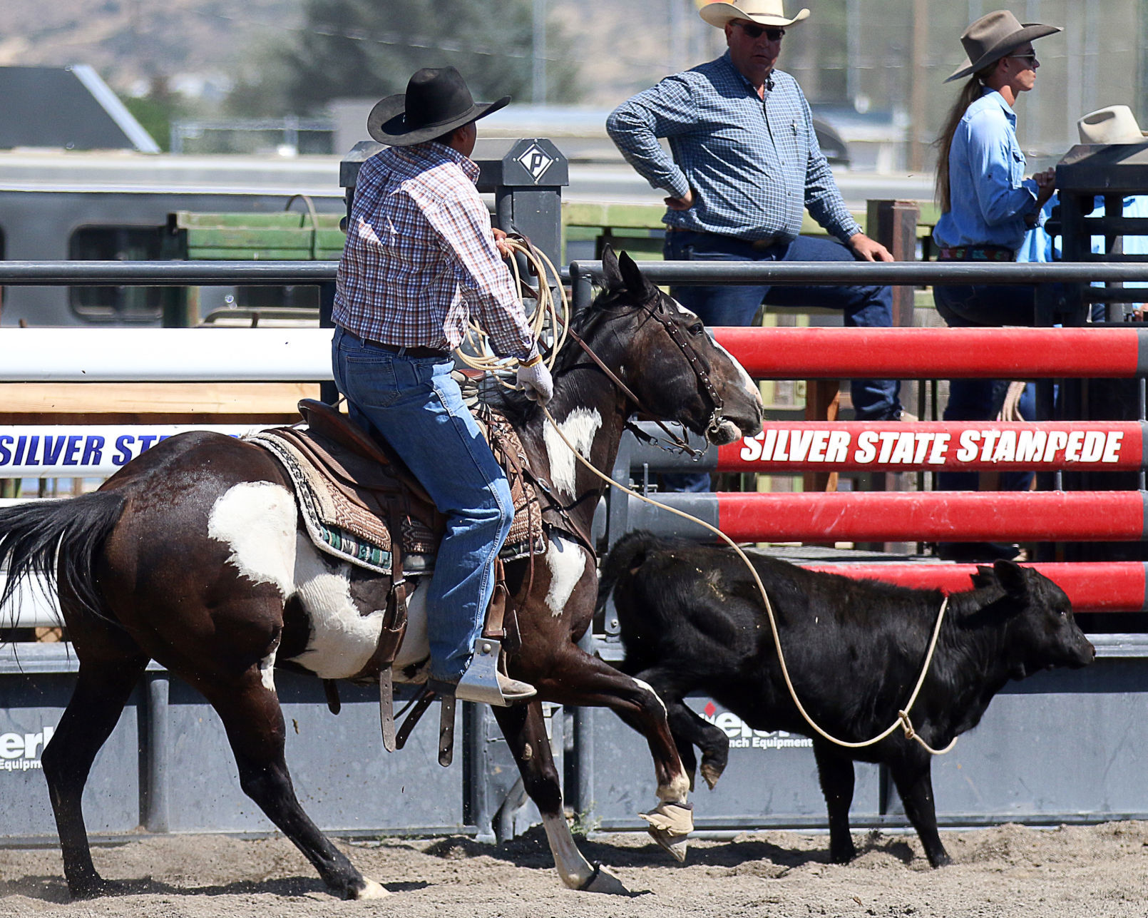 2018 Elko County Fair Open Branding Finals (1).JPG